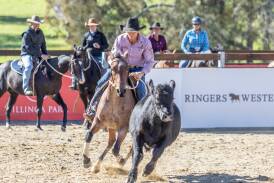 The Ringers Western Gold Buckle Campdraft Championship at Bawley Point's Willinga Park continues to lead the way in Australian campdrafting. Picture supplied 