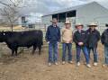 Top priced Sara Park Tyson T69 with auctioneer Robbie Bloch, AWN Squires; Brad Newsome Nutrien Livestock at Glen Innes with Sara Park principals Herb, Robert and Geoff Duddy. Photo supplied.