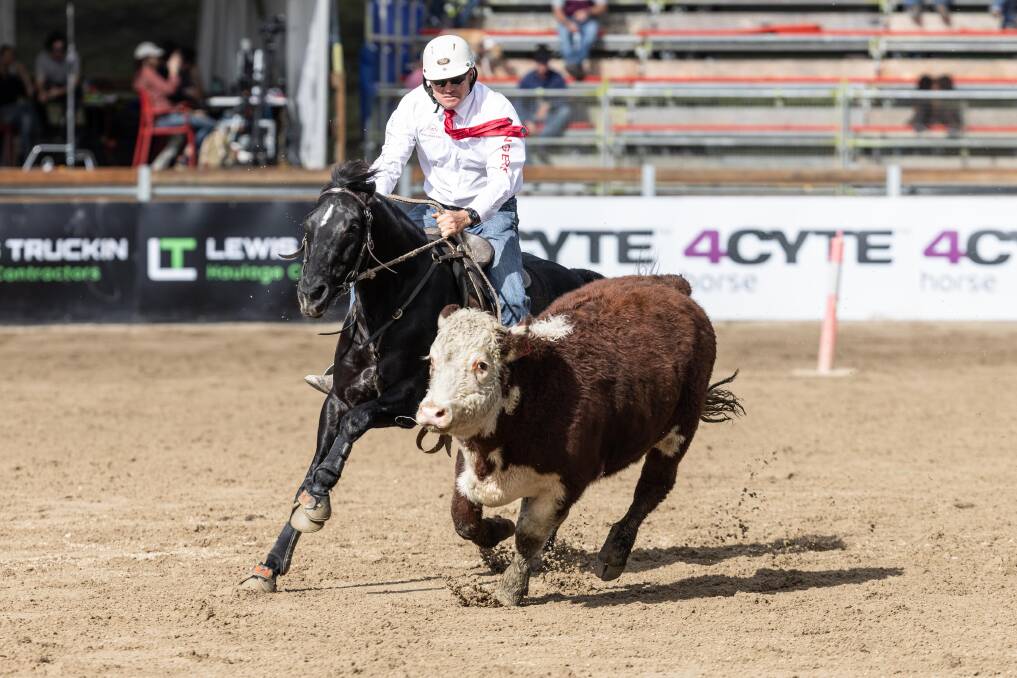 Mat Holz the Ringers Western Gold Buckle Campdraft Championship 2022 winner. Picture supplied 