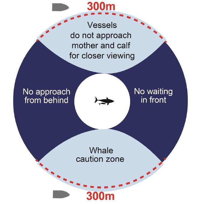 Sound advice when it comes to navigating the South Coast's "Humpback Highway"