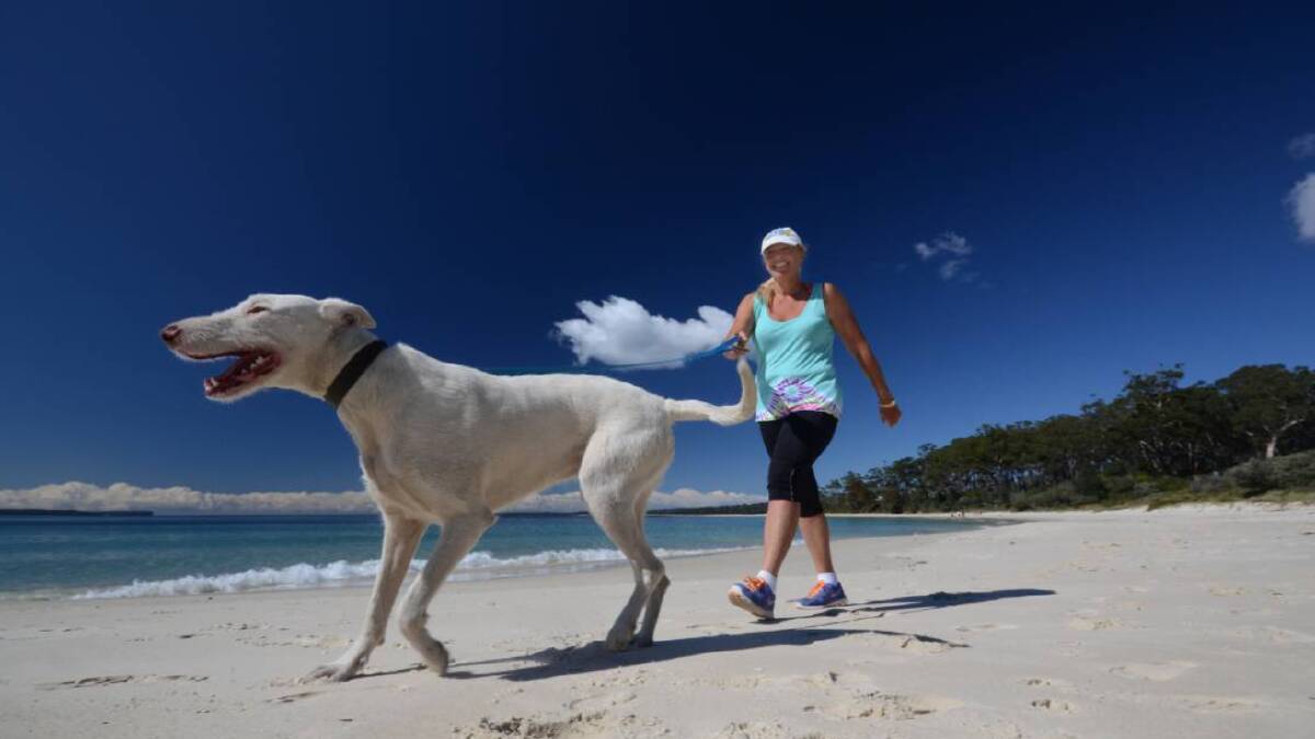 AN upcoming community information session on Narrawallee Beach's proposed dog access arrangements should be interesting. Picture file